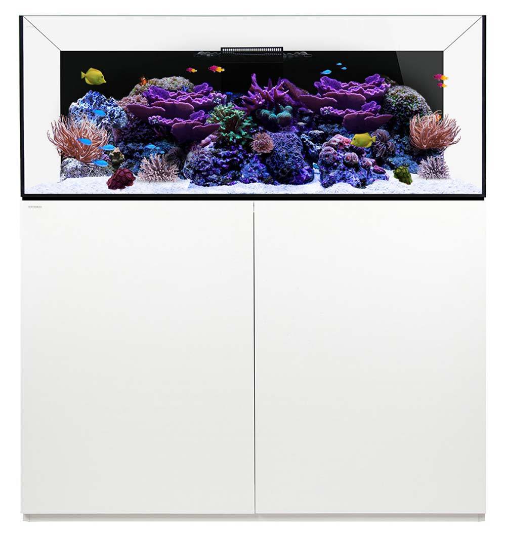 Reef 130.4 ClearView Lid – ClearView Lids