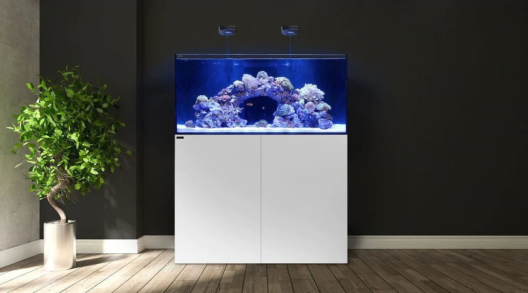 Waterbox MARINE X aquarium