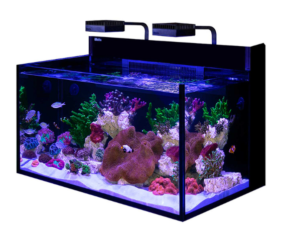Red Sea Max Nano aquarium