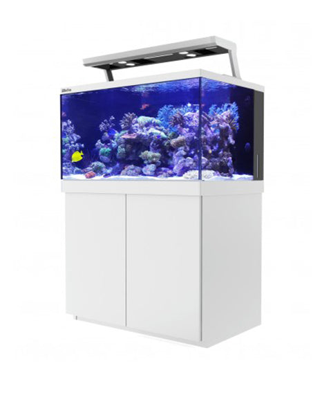 Red Sea Max-S aquarium