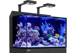 Red Sea Max-E aquarium