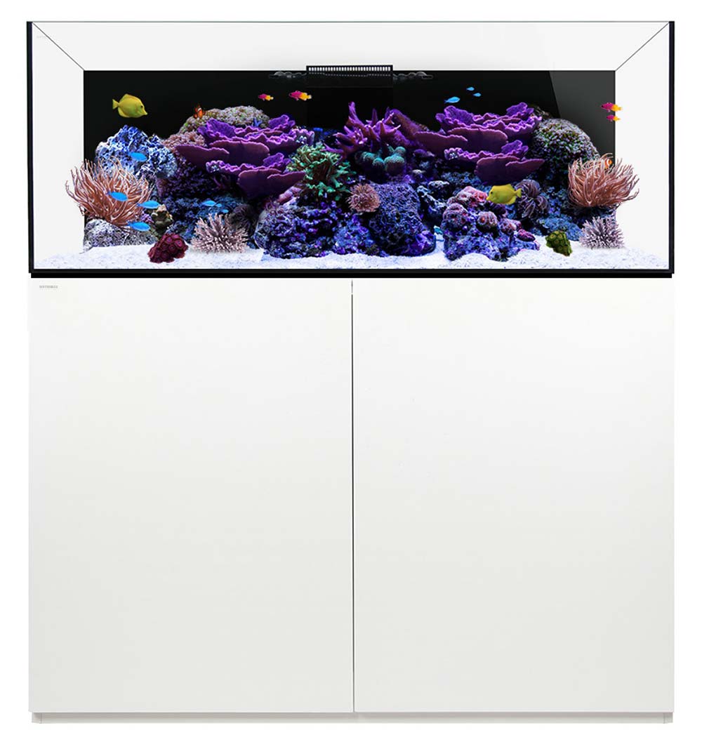 Waterbox REEF aquarium