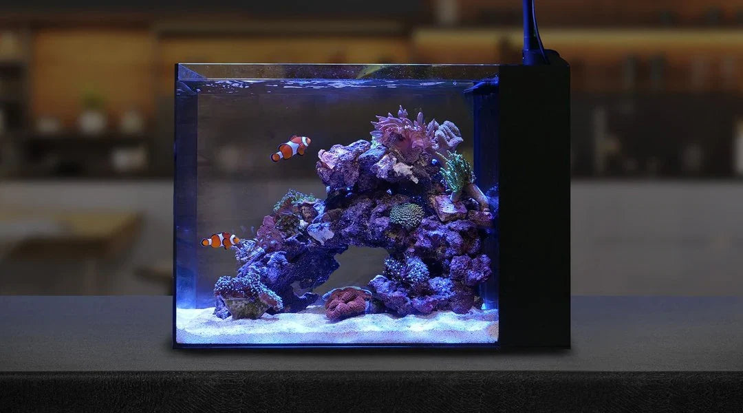 Waterbox AIO 15 and AIO 25 Peninsula aquariums