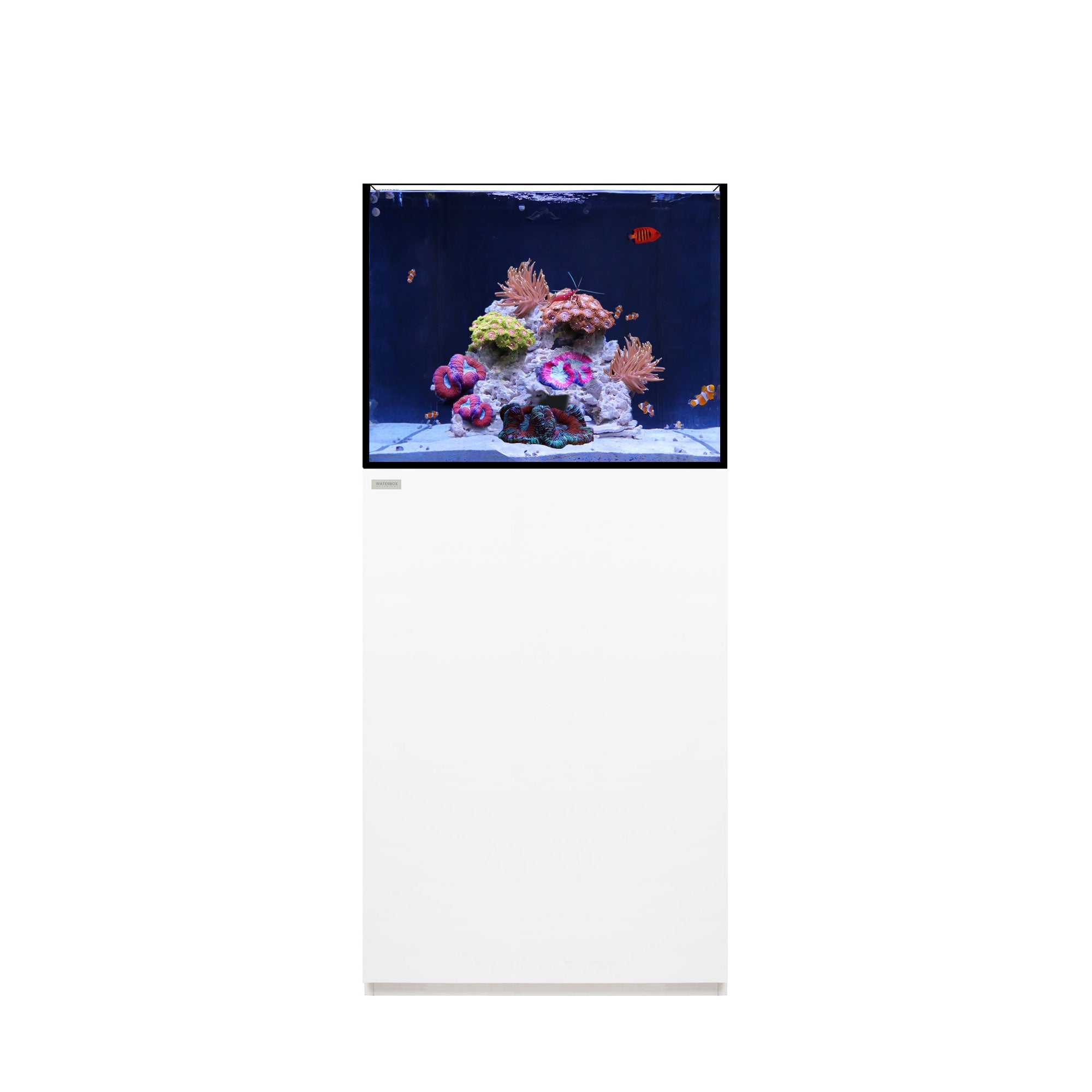 Waterbox MARINE aquarium