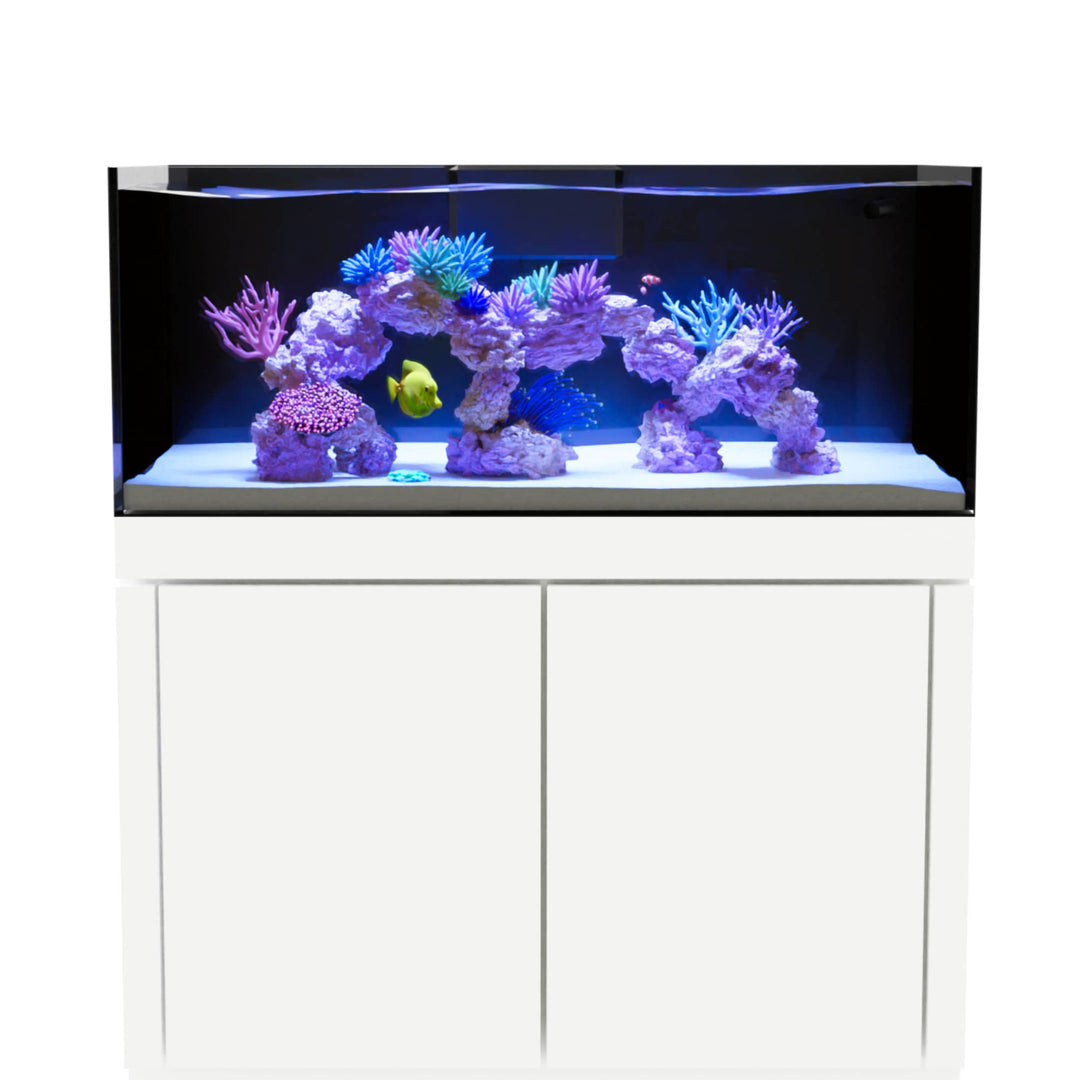 Planet Aquariums Tideline Studio Cube 7.1 Gallon aquarium