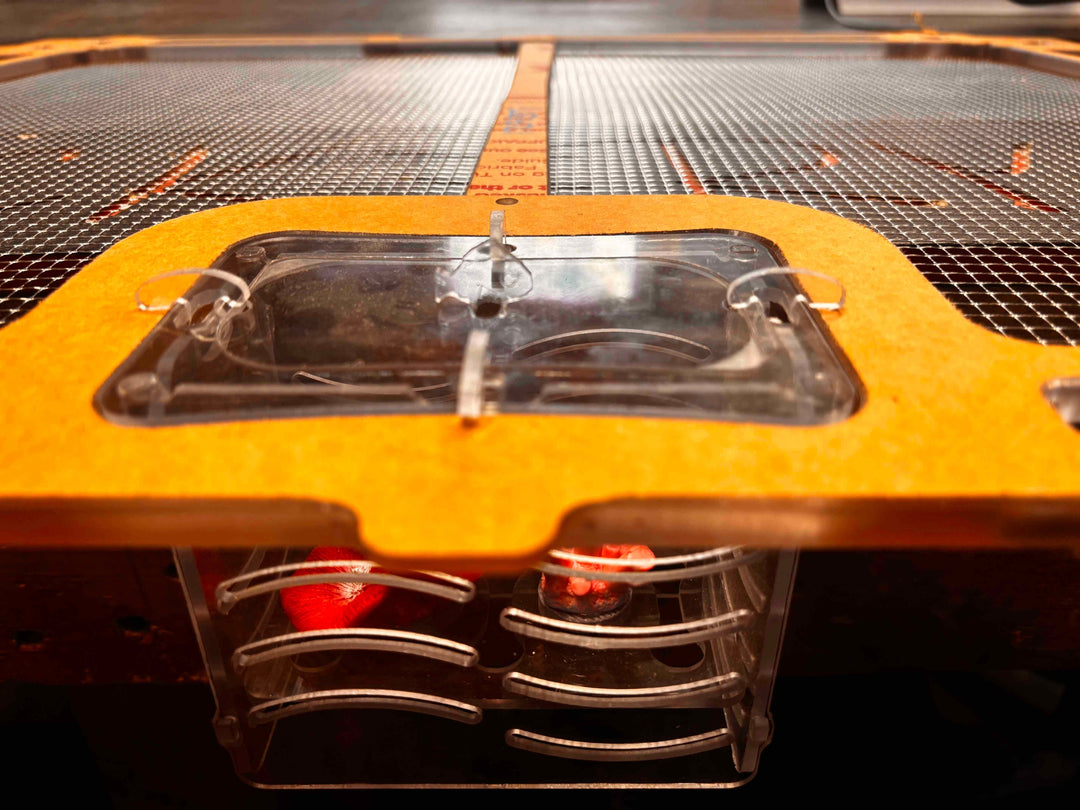 Feed / Acclimation Boxes