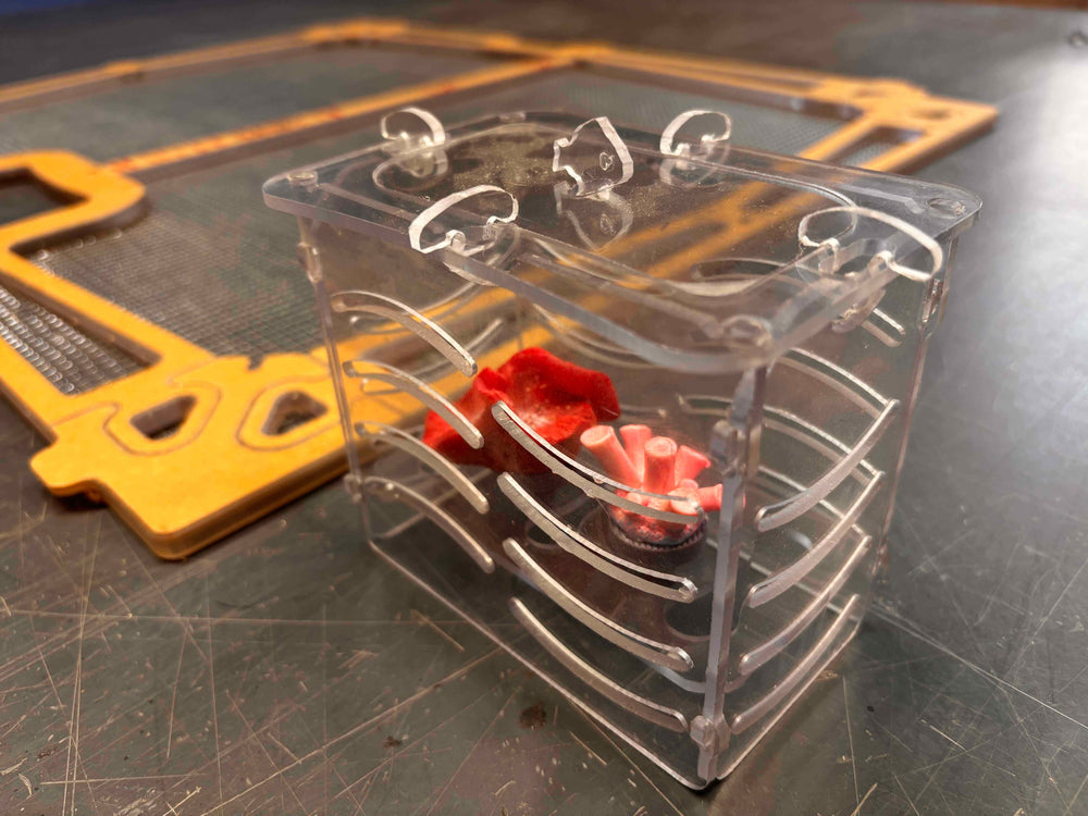 Feed / Acclimation Boxes