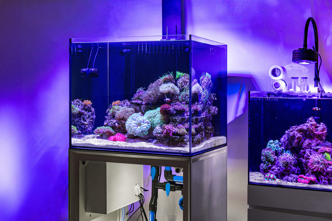 Ultum Nature Systems (UNS) Reef System R180 aquarium