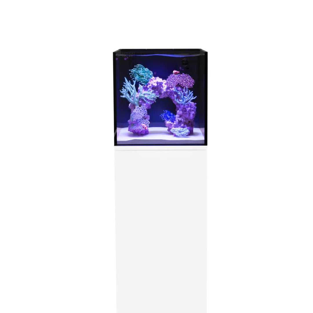 Planet Aquariums Studio Nano 8.1 Gallon aquarium