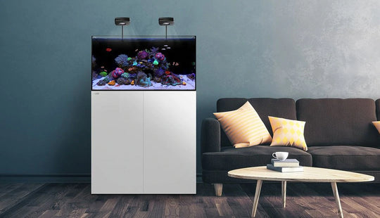 Waterbox AIO 35.2 Aquarium Lid