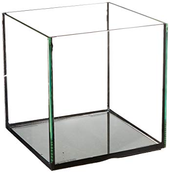 Deep Blue Rimless 60 Cube 24x24 ClearView Lids