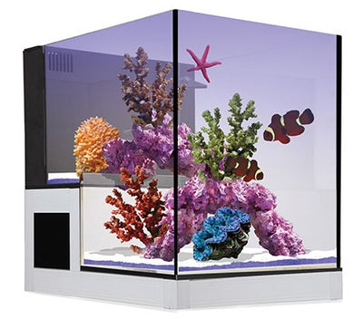 NUVO Concept Abyss Peninsula ClearView Lid