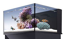 NUVO Fusion Lagoon 25 ClearView Lid