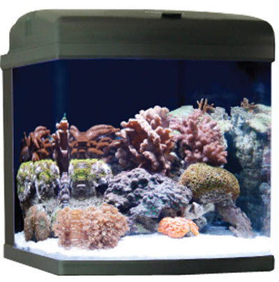 JBJ Biocube 29 ClearView Lids