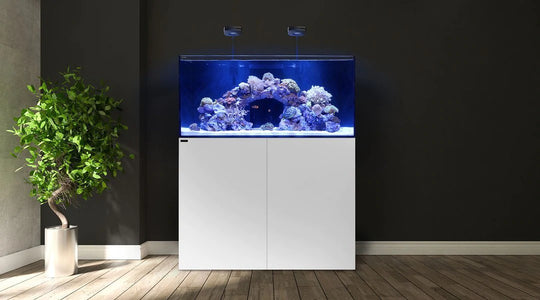 Waterbox MARINE X / DX / EX 110.4 Aquarium Lid