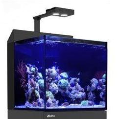 Red Sea DESKTOP CUBE aquarium