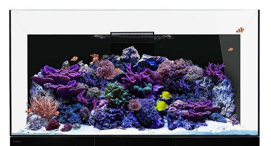 Waterbox REEF / REEF DX / REEF PRO 220.6 Aquarium Lid