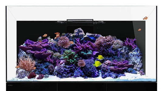 Waterbox Pro 190.5 INFINIA ClearView Lid