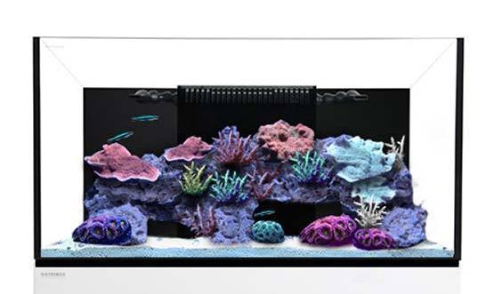 Waterbox Frag 80.4 ClearView Lid