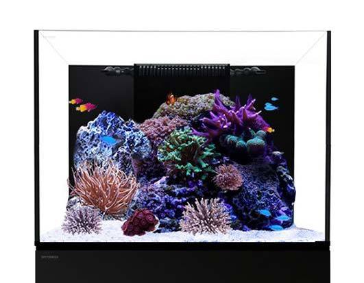 Waterbox REEF 70.2 Aquarium Lid