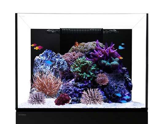 Waterbox REEF / REEF DX 100.3 Aquarium Lid