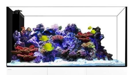 Waterbox Peninsula 5526 Aquarium Lid