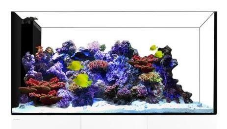Waterbox Peninsula 6026 Aquarium Lid