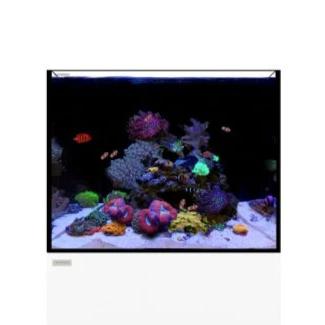 Waterbox MARINE 45.2 Aquarium Lid